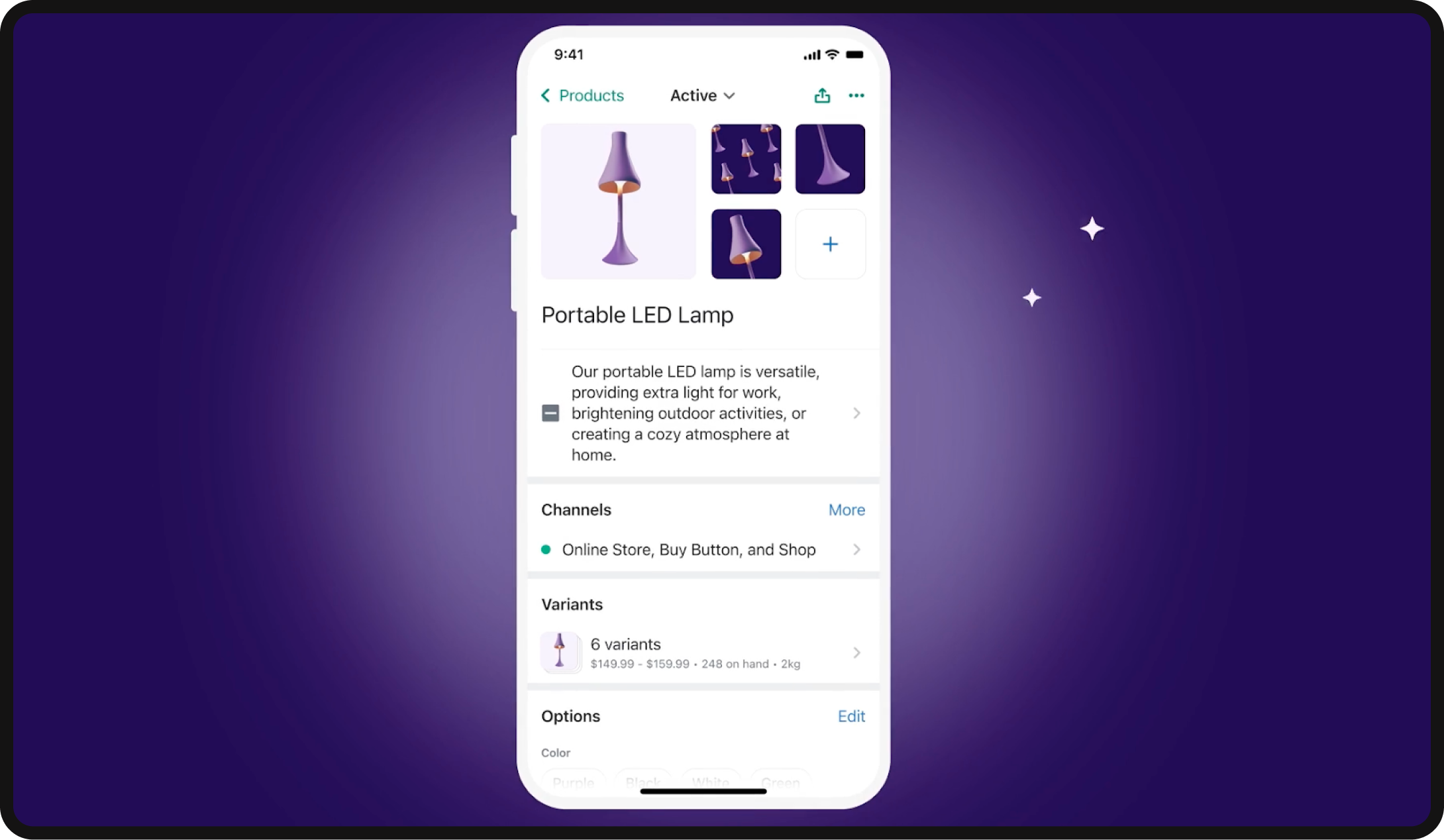 Shopify product descriptions using the AI tool.