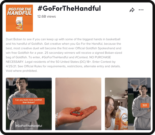 TikTok Advertising Branded Hashtag