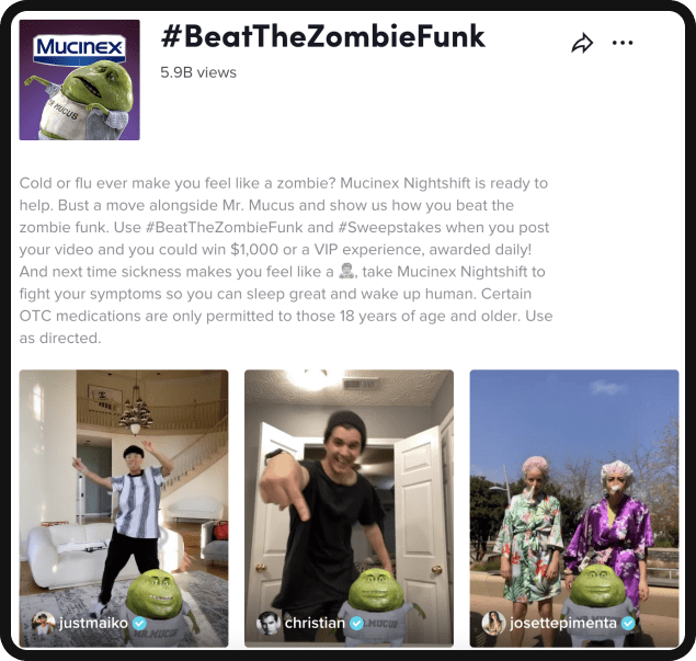 TikTok Advertising Branded Effect